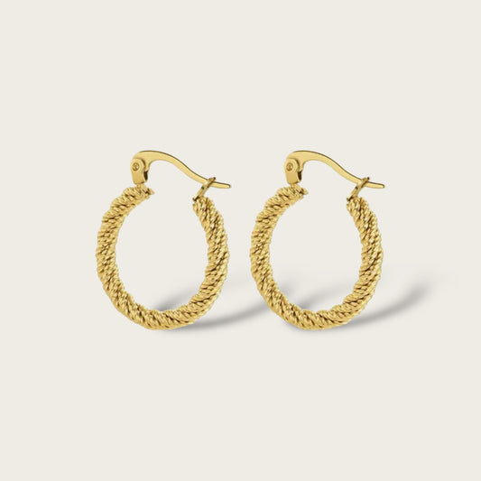 Twisted Hoops Earrings