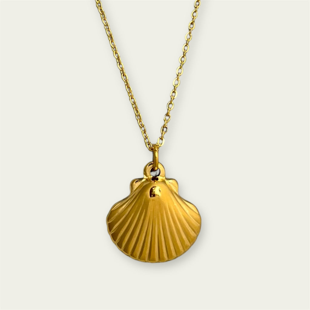 Cockle Sheel Necklace