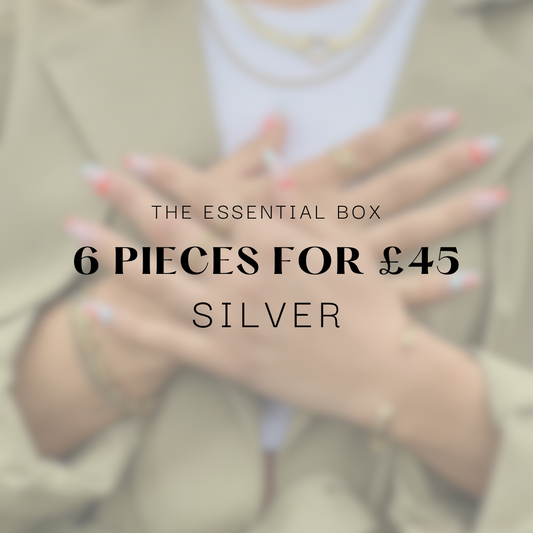 The Essential Box - 6 SILVER items