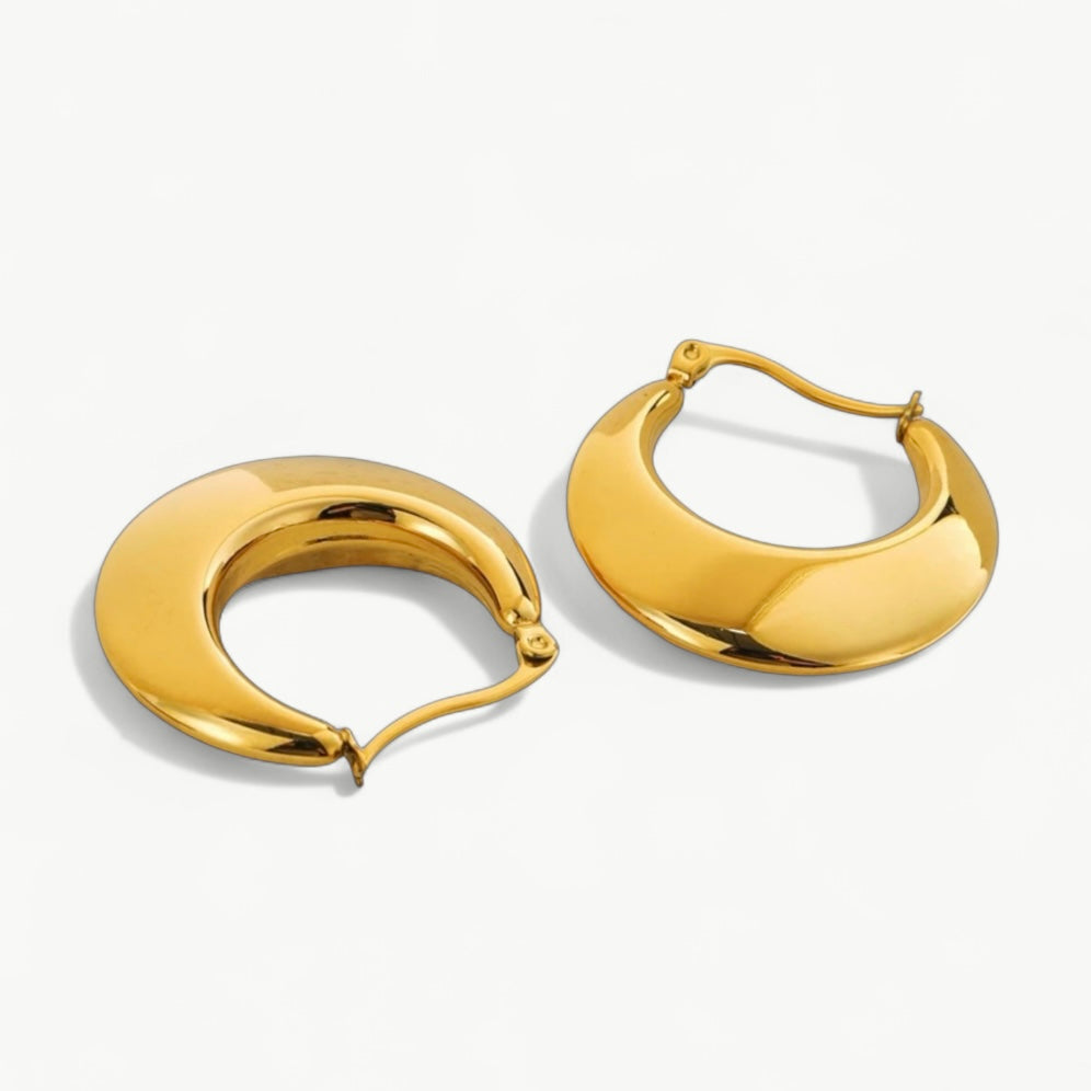 Medium Hoops Earrings