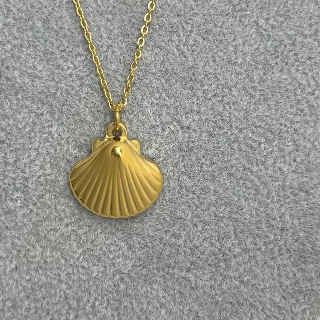 Cockle Sheel Necklace