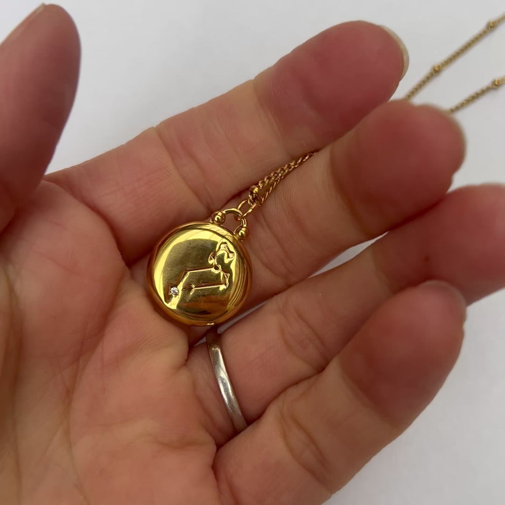 Double Sided Zodiac Necklace